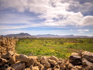 Terreno en venta en Calle El Bardino